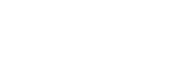 Koutsit